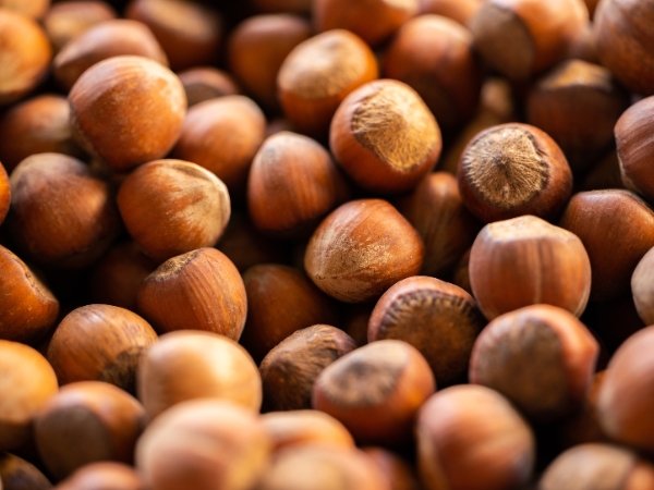 Hazelnuts