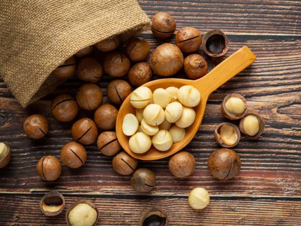 Macadamia