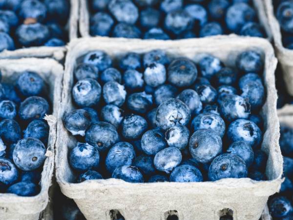 Blueberry