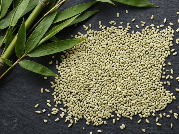 Bamboo Rice